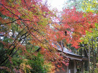 PB190090_resize1.jpg