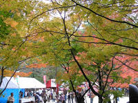 PB190096_resize1.jpg