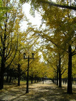 PB170005.jpg