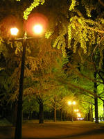 PB170073.jpg