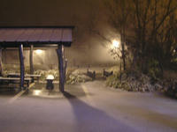 PC310015.jpg