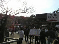 P1010034.jpg