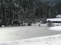P1030059.jpg