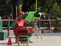 P2250006.jpg