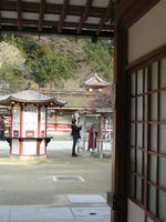 P2250042.jpg