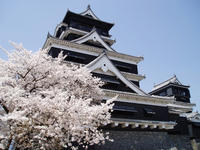 P4050009_resize1.jpg