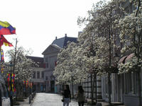 P3140044.jpg