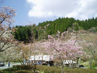 P4160002_resize1.jpg