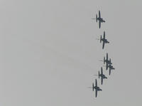 P5050156.jpg