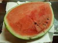 P7070066_resize1.jpg