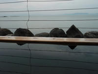 P5230011_resize1.jpg
