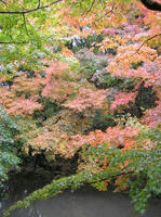PB190032_resize1.jpg