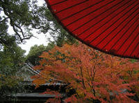 PB190052_resize1.jpg