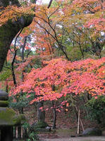 PB190060_resize1.jpg