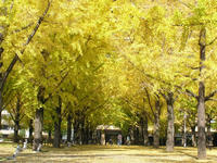 PB170017_resize1.jpg