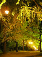 PB170072_resize1.jpg