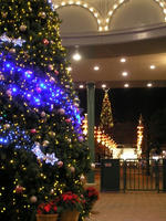 PC060020_resize1.jpg