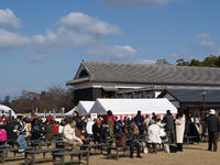 P1020148_resize1.jpg