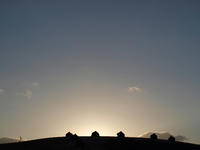 P1020187_resize1.jpg