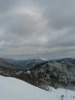 P1030010_resize1.jpg