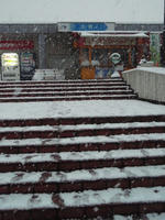 P1240031_resize1.jpg