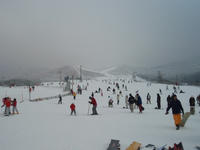 P1250008_resize1.jpg