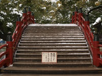 P1250356_resize1.jpg