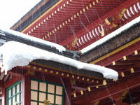 P1250376_resize1.jpg
