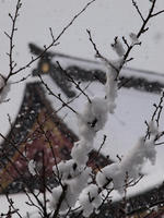 P1250402_resize1.jpg