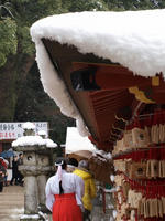 P1250426_resize1.jpg