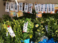 P2151554_resize1.jpg