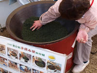 P2151558_resize1.jpg