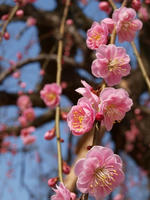 P2151565_resize1.jpg