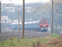 P2221789_resize1.jpg
