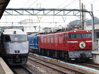 P2221834_resize1.jpg