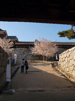 P4024092.jpg