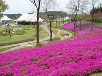 P4230021.jpg