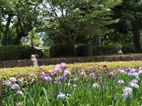 P5266405.jpg