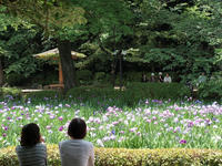 P5266407.jpg