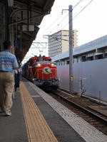 P7127166_resize1.jpg