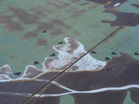 P7056974_resize1.jpg