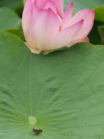 P7056997_resize1.jpg