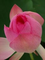 P7057000_resize1.jpg