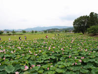 P7057031_resize1.jpg
