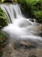 P8147427_resize1.jpg