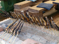 P8147443_resize1.jpg
