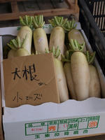 P8147447_resize1.jpg