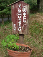 P8147448_resize1.jpg