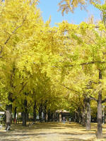 PB170016_resize1.jpg