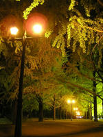 PB170073_resize1.jpg